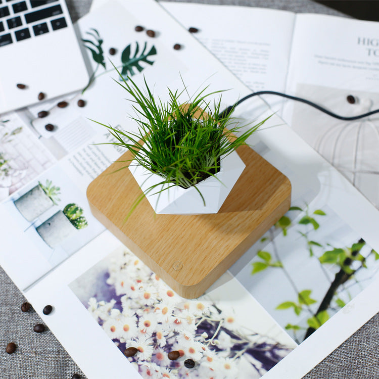 Magnetic Levitation Potted Plant