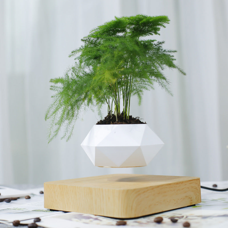 Magnetic Levitation Potted Plant