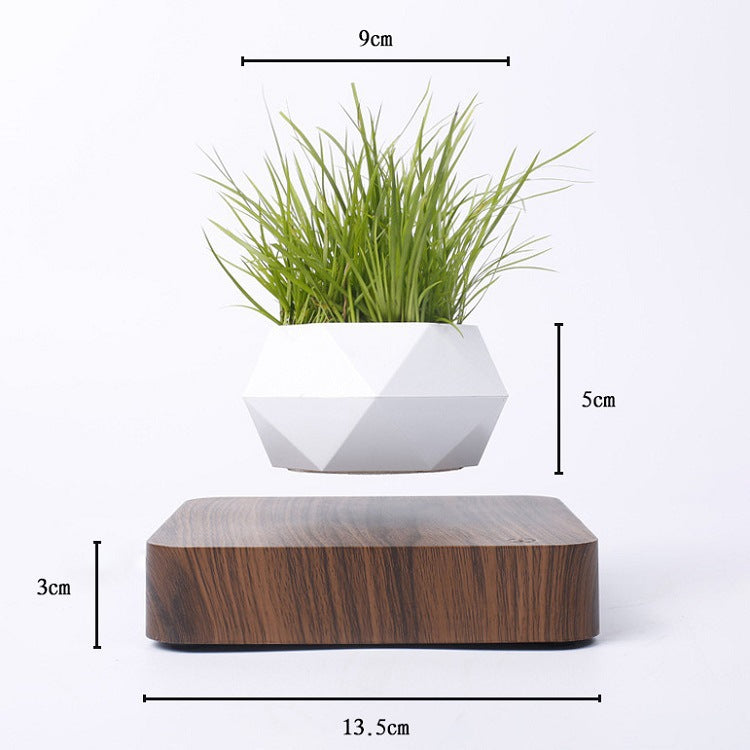 Magnetic Levitation Potted Plant